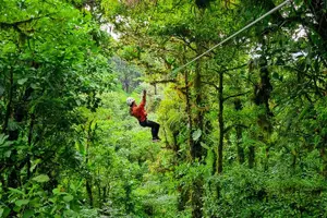Tour image of Selvatura Park Canopy Tour