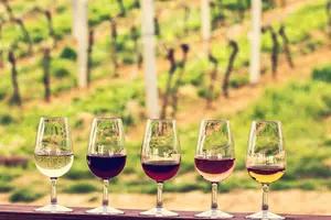 Tour image of Bordeaux Shore Excursion: Private Bordeaux and St-Emilion Tour