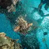 Image of Sea Caving