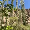Image of Eco Tours