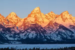 Tour image of Half Day Grand Teton Wildlife Safari Tour