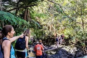Tour image of Waterfall & Rainforest Hiking Adventure with Hotel Pickup