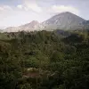 Image of Nature Walks