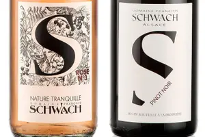 Tour image of Introduction to Alsace wines