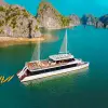 Image of Catamaran Cruises