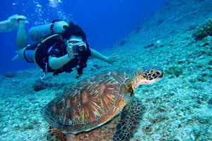 Tour image of Scuba Diving Trips to Dimaniyat Islands