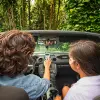 Image of Plantation Tours