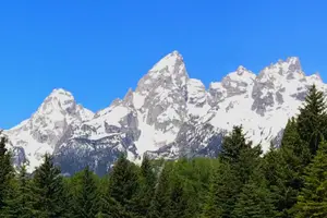 Tour image of 5 Person Full Day PRIVATE Yellowstone Tour- Picnic, Binoculars, Scope, Huge Van