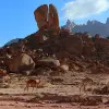 Image of ATV Tours