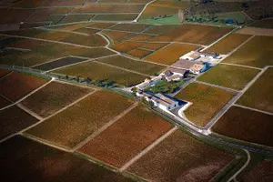 Tour image of Discover Margaux : Vineyards, lunch and tastings included