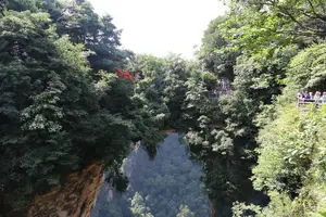 Tour image of Glass Bridge,Yuanjiajie Avatar Mountain&Tianzi Mountain day tour