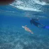 Image of Snorkeling