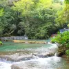 Image of Nature and Wildlife Tours