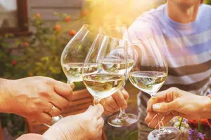 Tour image of Horseback Riding and Wine Tasting Tour
