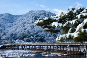 Tour image of Ancient Capital Tour: Kyoto and Nara Highlights from Kyoto/Osaka