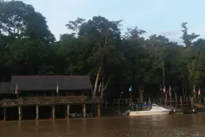 Tour image of 2D1N Sandakan Private Tour with Kinabatangan River Cruise