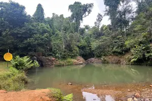 Tour image of Pork Highway & Cayey Cultural & Gastronomical Experience