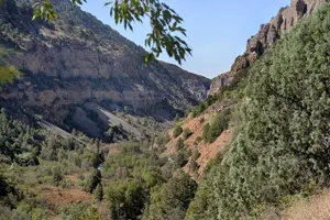 Tour image of Trekking in Aksu-Zhabagly nature reserve (2 days)