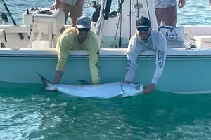 Tour image of KeyWest Half-Day Inshore Fishing Private Charter