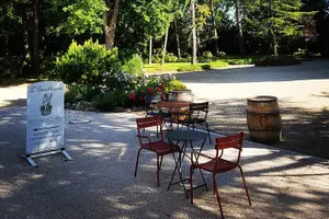 Tour image of Private wine tasting workshop by Dufouleur - Bourgogne