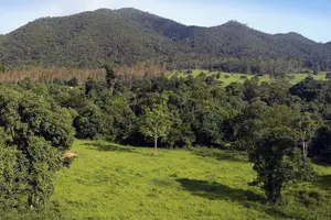 Tour image of Elephant and Animal Watching in Kuiburi National Park - Join Afternoon Tour