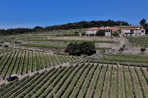 Image of Portugal