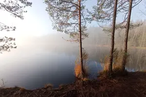 Tour image of Hiking tour in Nuuksio National Park with meal and snacks