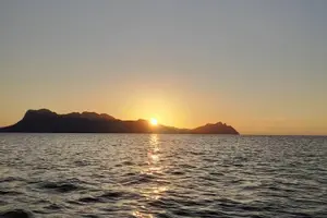 Tour image of Bako National Park by Night from Kuching