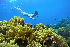 Tour image of [Phu Quoc] Private Speedboat & Short-Snorkel: South Hidden Reefs