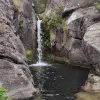 Image of Eco Tours