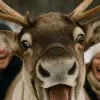 Image of Pack Animal Tours