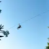 Image of Ziplining