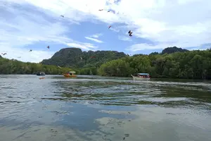 Tour image of Langkawi Half Day Mangrove Tour - Sharing Basis
