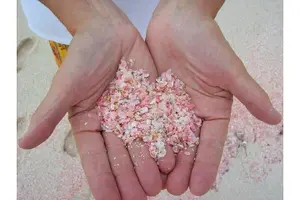 Tour image of Bermudaful Island Beach Hop