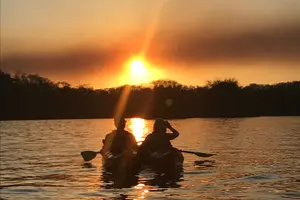 Tour image of Bioluminescent Kayak Tour