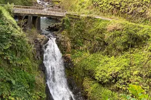 Tour image of Rainforest Tour to Hana and Beyond
