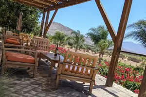 Tour image of Premium Valle de Guadalupe Wine and Food Tour