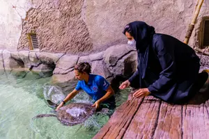 Tour image of National Aquarium Abu Dhabi All Access Pass Tickets