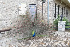 Tour image of Private Full-Day Historical Day Tour in North Macedonia and Albania