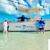 Image of Swim with Dolphins
