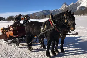 Tour image of Christmas Horse-Drawn Sleigh/Carriage Ride from Salzburg