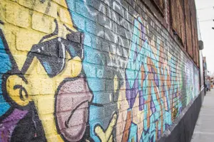 Tour image of Brooklyn Walking Tours by Locals: Private & 100% Personalized