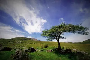 Tour image of Haunted Bog road tour. Galway. Private guided. 3 hours