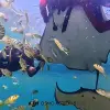 Image of Freediving