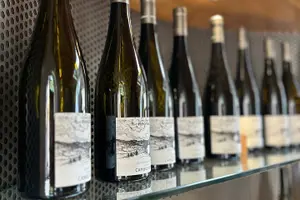 Tour image of Private Wine Tasting Tour With Personal Driver in Alsace