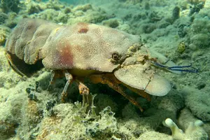 Tour image of All-Inclusive Full-Day Private Boat Tour with Lunch & Drinks