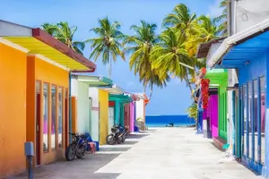 Tour image of Sandbank, Snorkeling, Dolphin Cruise, Picnic, Local Island Tour