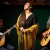 Image of Acoustic Concerts