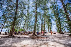 Tour image of Snorkeling to Phi Phi Islands by Speedboat from Koh Lanta