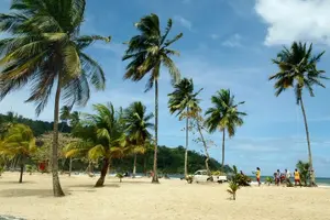 Tour image of Trinidad Highlights Tour from Port of Spain